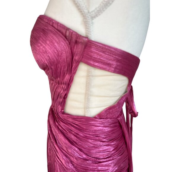 Maria Lucia Hohan Caly Gown in Raspberry 36/4 New Womens Maxi Dress - Picture 9 of 13